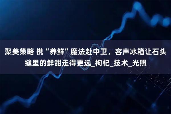 聚美策略 携“养鲜”魔法赴中卫,容声冰箱让石头缝里的鲜甜走得更远_枸杞_技术_光照